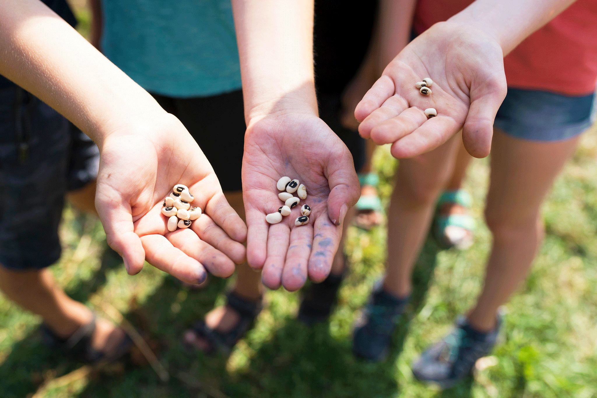 7_Copyright_Katharina-Kühnel